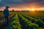 découvrez comment choisir la meilleure assurance multirisque agricole adaptée à vos besoins. protégez vos biens et votre activité agricole avec nos conseils et comparatifs des meilleures options sur le marché.
