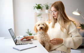 assurance animal