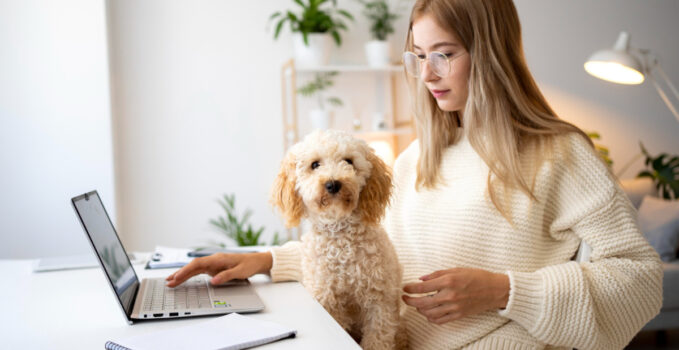 assurance animal