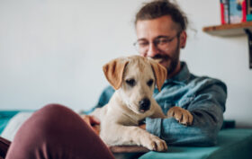 assurance animaux