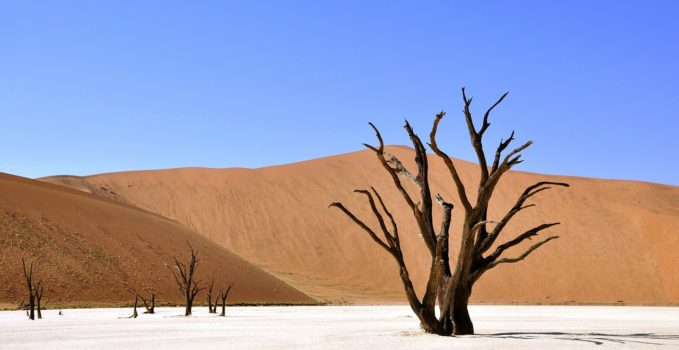 assurance pour l'Afrique