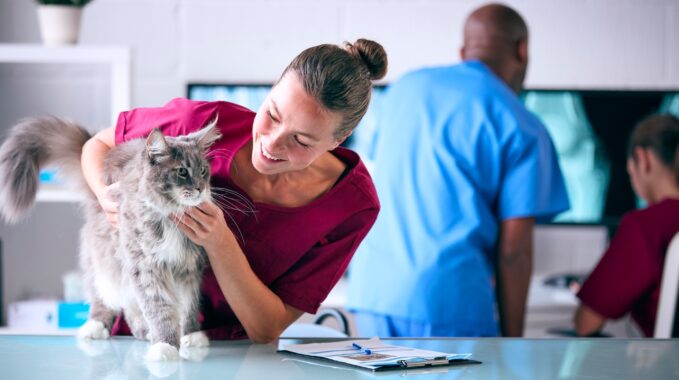 tarifs vétérinaires