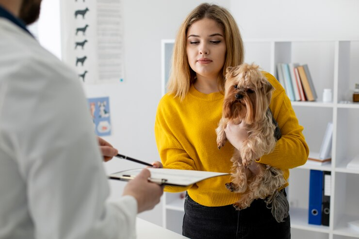 remboursement soins vétérinaires