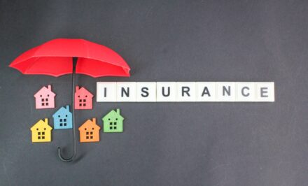 the house is protected by the word insurance.