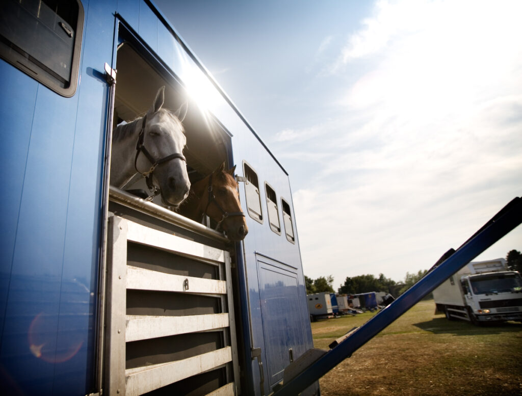 transport d'animaux